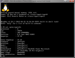 Linux terminal running in UNISIM ppcemu-system Simulator