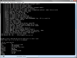 Linux terminal running in UNISIM Virtex 5 FXT Simulator